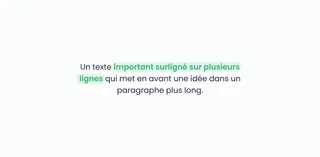 un aperçu d'un texte avec une partie surlignée sur plusieurs lignes